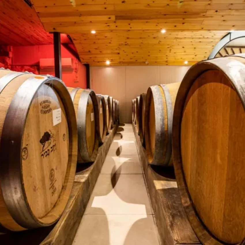 IMG-20200217-WA0061-640w