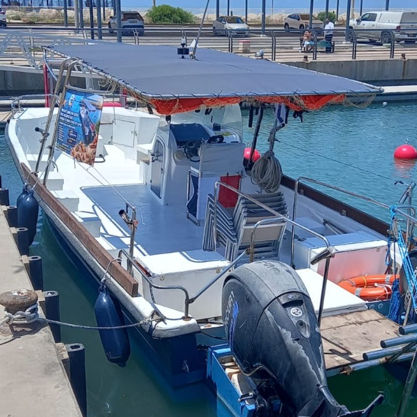 IMG-20260812-WA0048