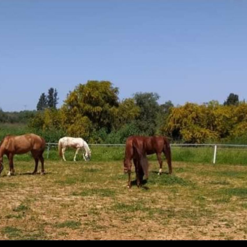 Screenshot_20211124-224313