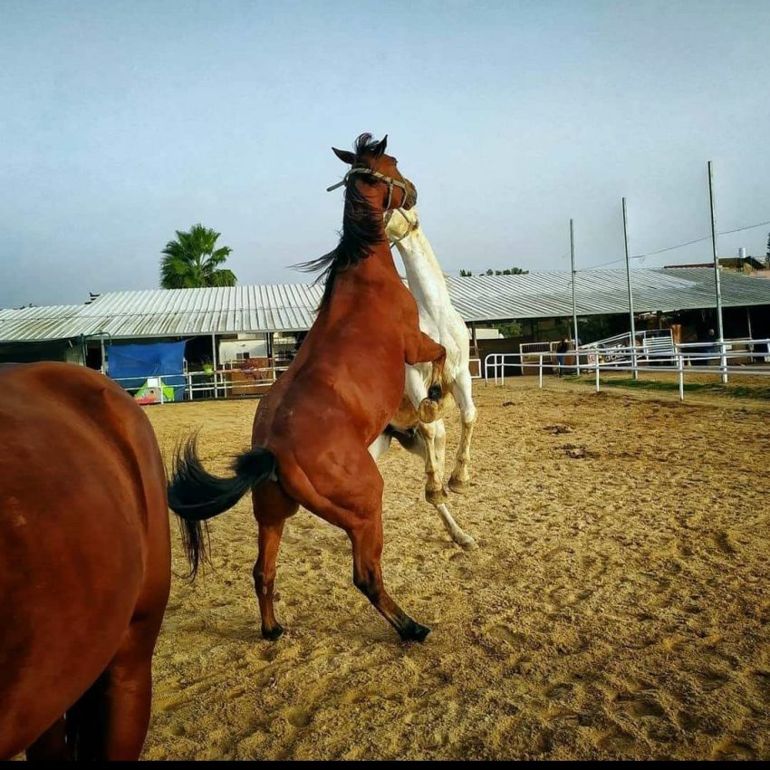 Screenshot_20211124-224346