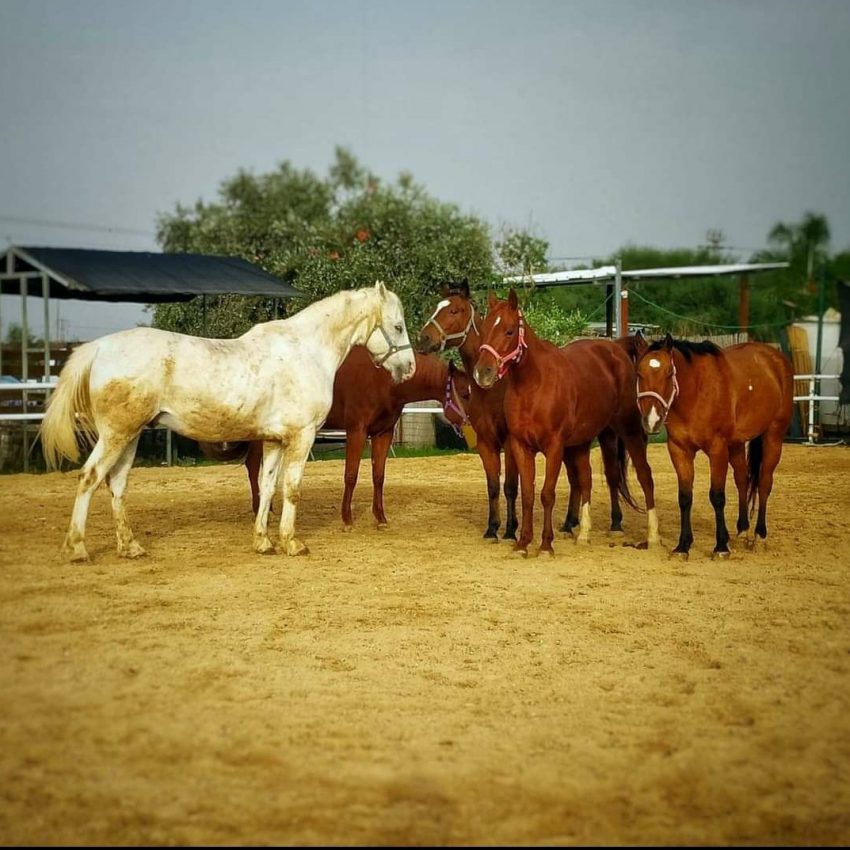 Screenshot_20211124-224356