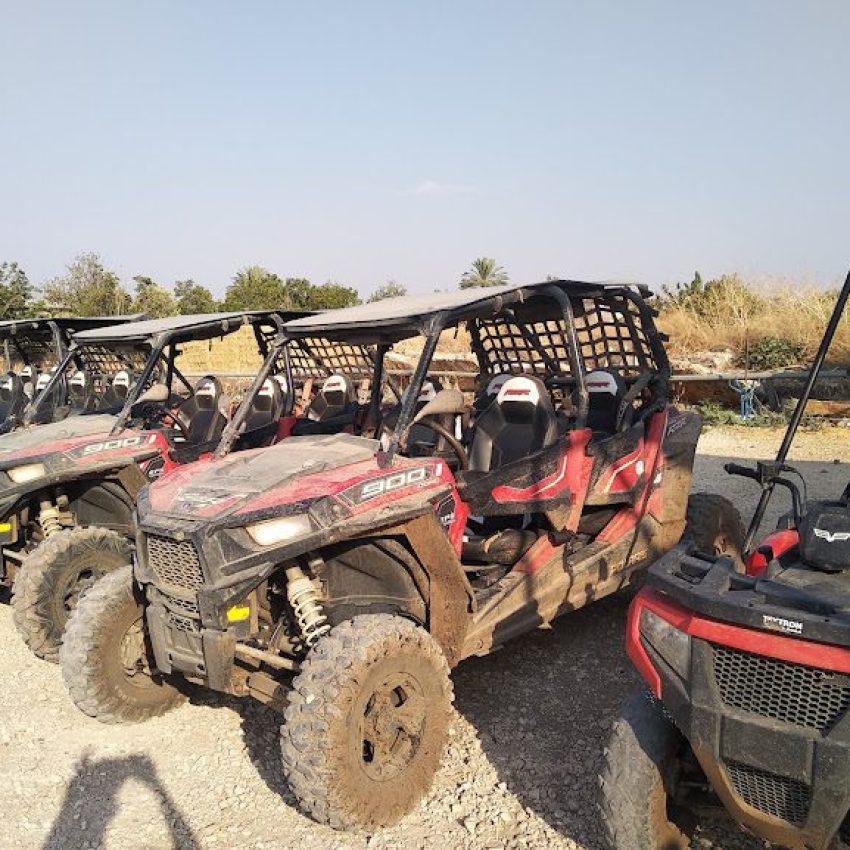 הורדה (4)