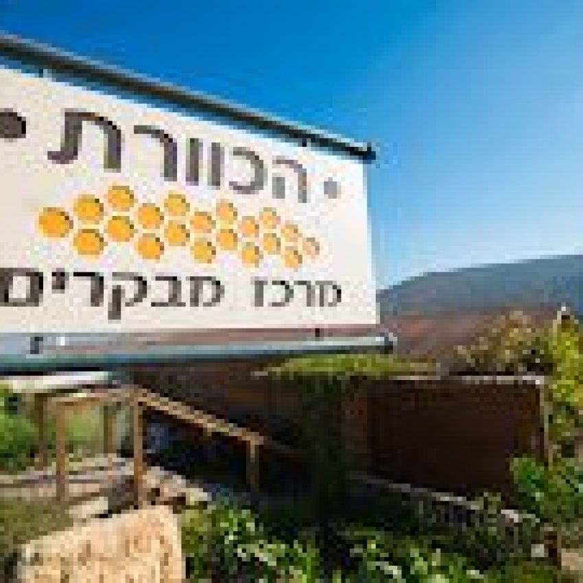 הכוורת